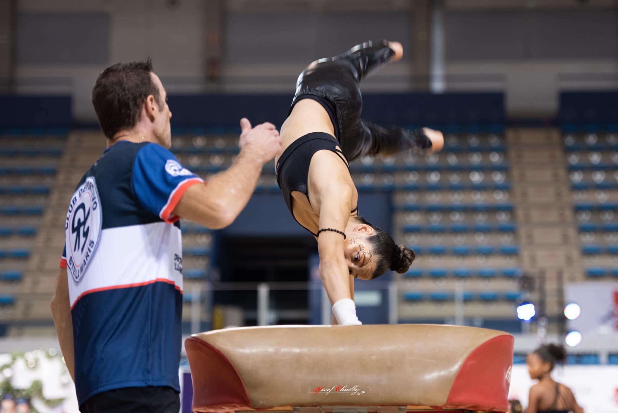 Gimnasia artística