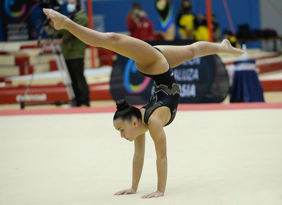 Gimnasia artística