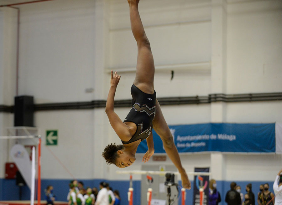 Gimnasia artística